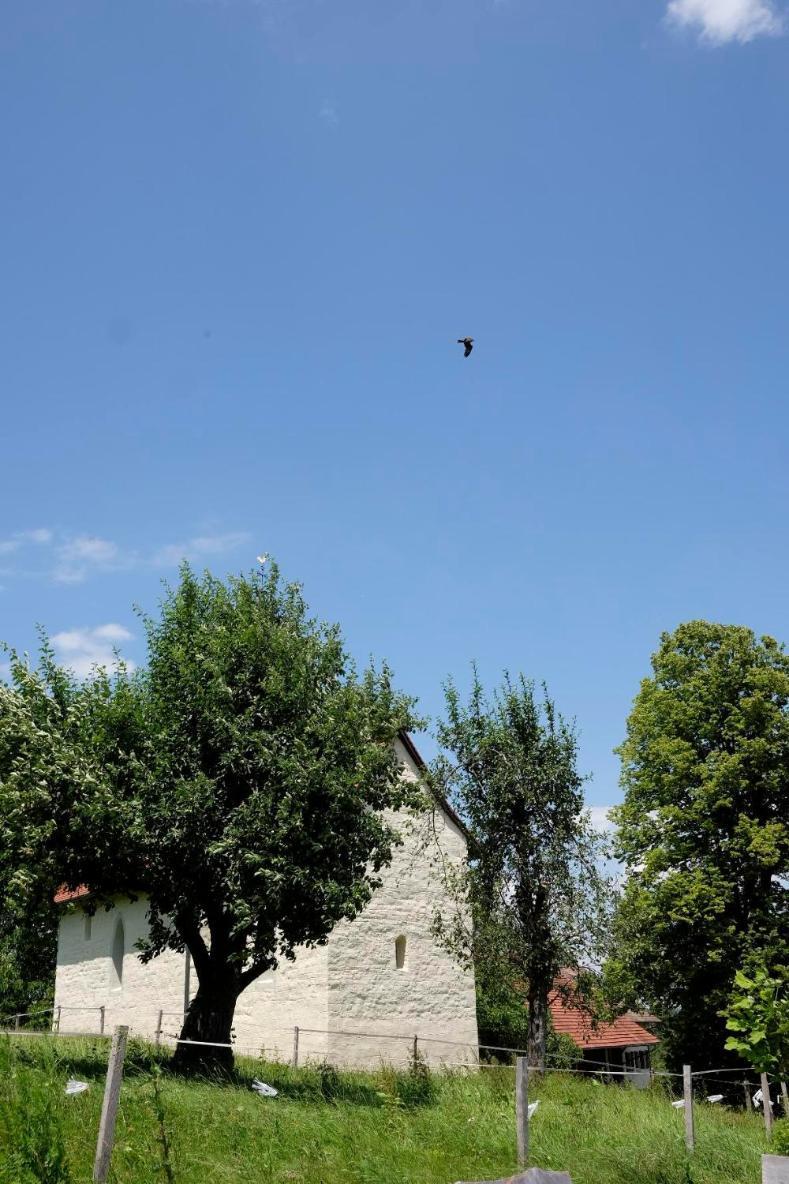 Trautesheim Ferienwohnungen Wangen im Allgäu Εξωτερικό φωτογραφία