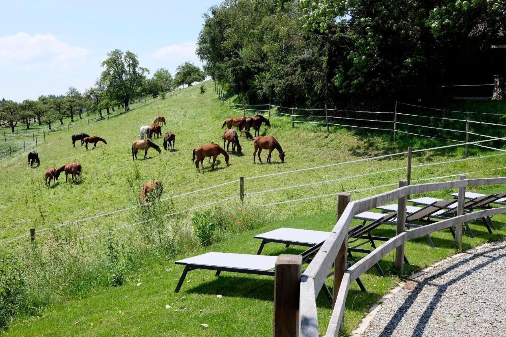 Trautesheim Ferienwohnungen Wangen im Allgäu Εξωτερικό φωτογραφία
